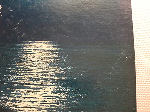 Amazon.co.jp: LP谷村新司海猫ETP72124日本盤 歌手 アリス